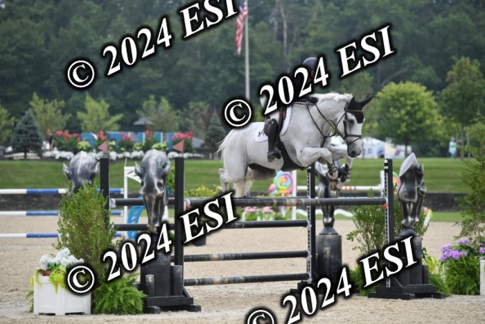 268DK1_6431-1