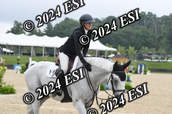268DK1_6438-1
