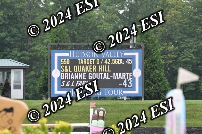 268DK1_6447-1