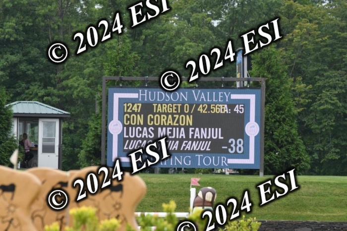 268DK1_6466-1