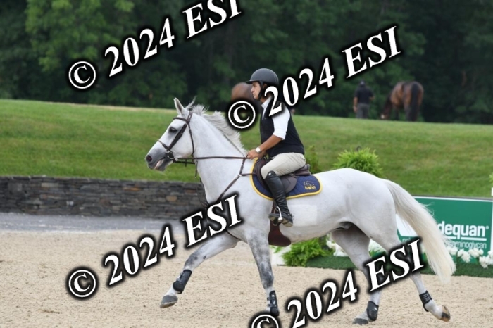 268DK1_6471-1
