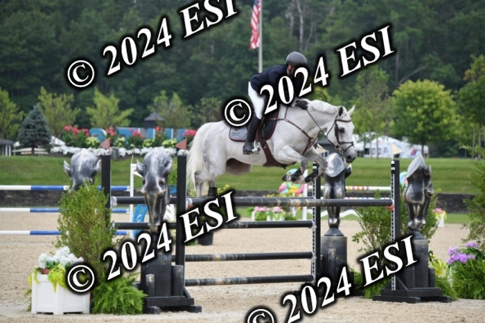 268DK1_6483-1
