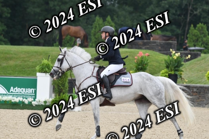 268DK1_6484-1