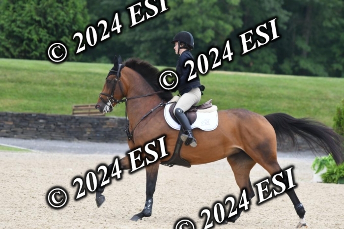 268DK1_6508-1
