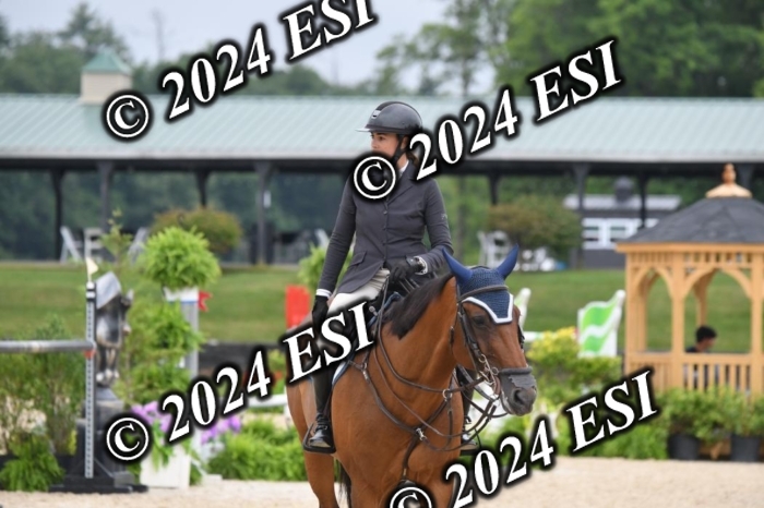 268DK1_6522-1