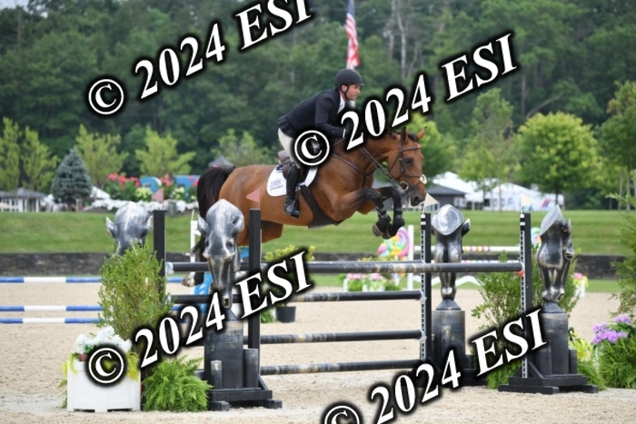 268DK1_6528-1