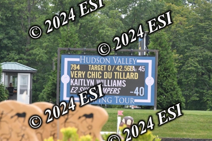 268DK1_6529-1