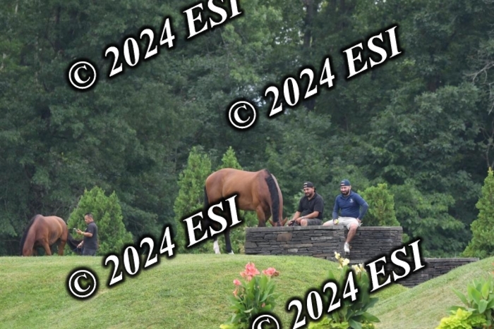 268DK1_6534-1