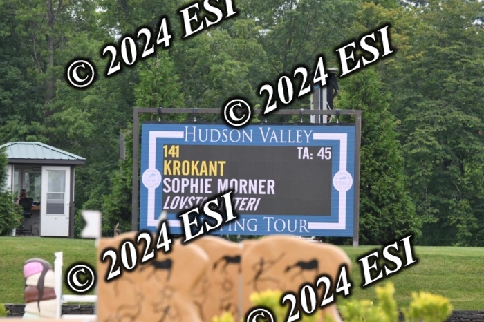 268DK1_6539-1