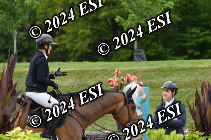 268DK1_6548-1