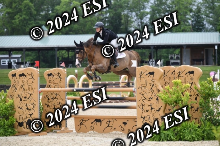 268DK1_6552-1