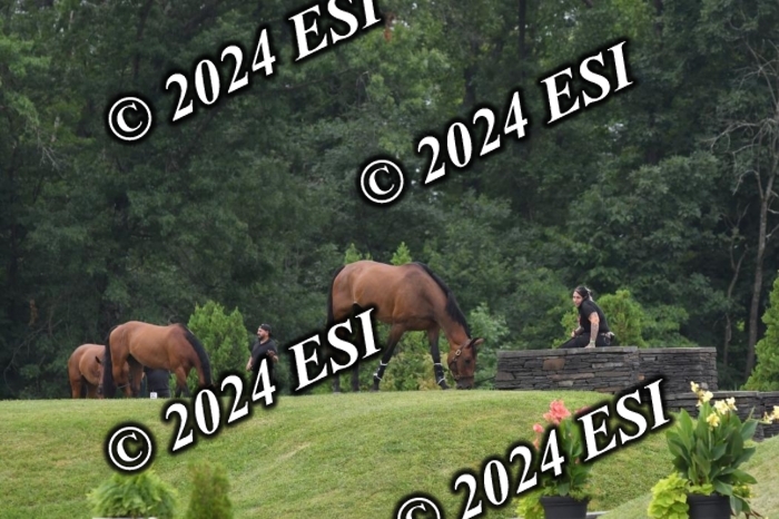 268DK1_6555-1