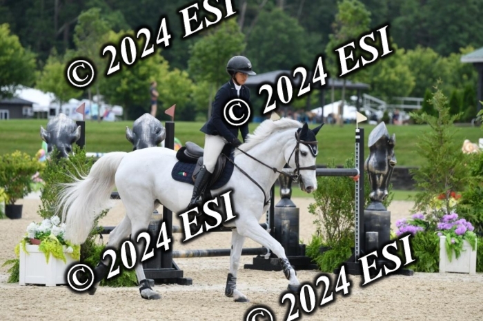 268DK1_6560-1