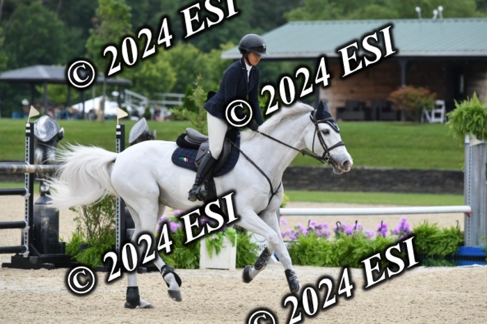 268DK1_6561-1