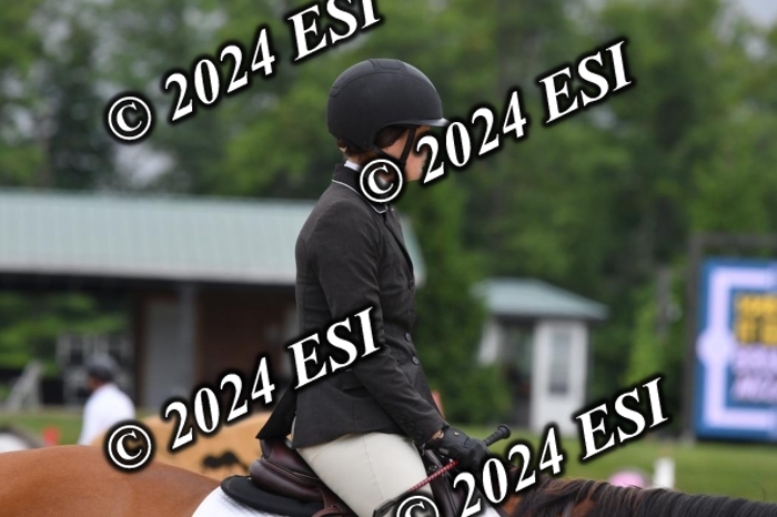 268DK1_6581-1