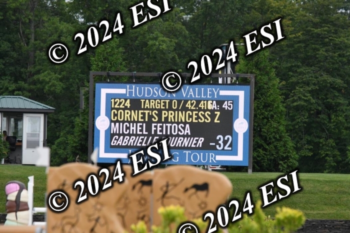 268DK1_6619