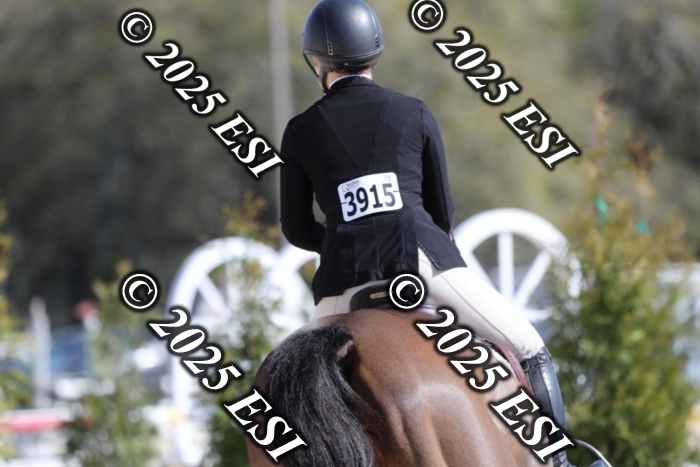 385RWCL8787