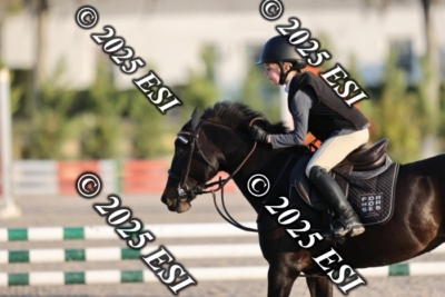 203DI2_3390