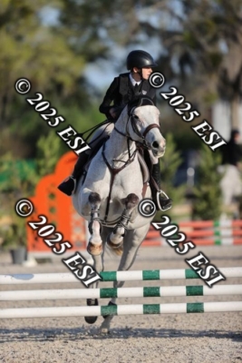203DI2_3495