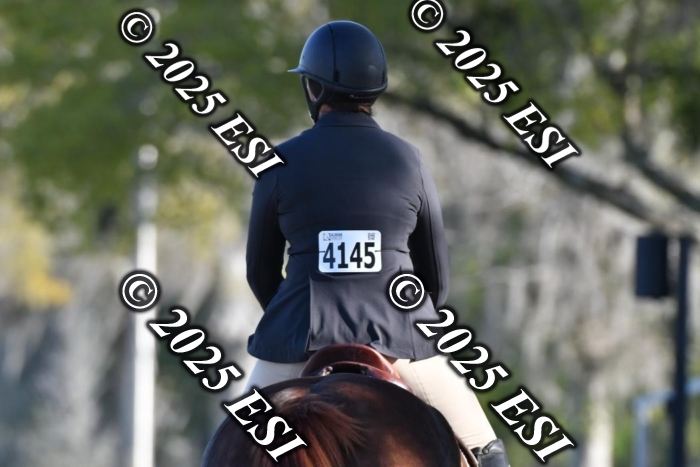 473DAV_1028