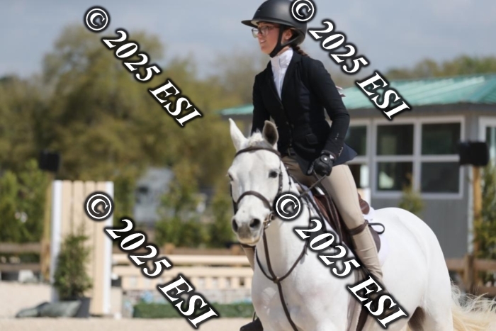 170AF2I2830