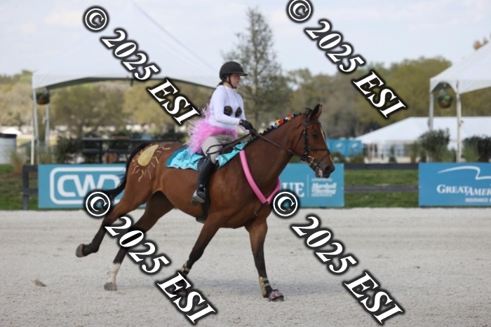 419GAB19283
