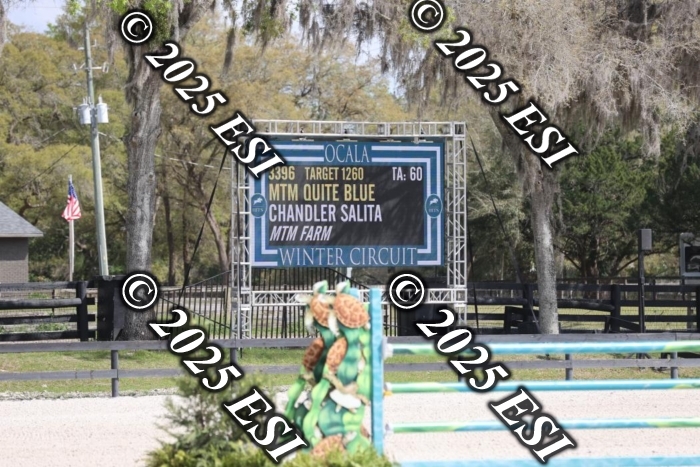 419GAB19305