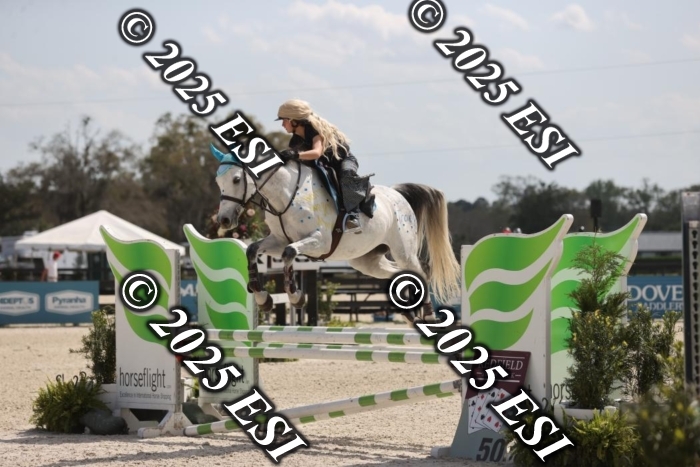 419GAB19309