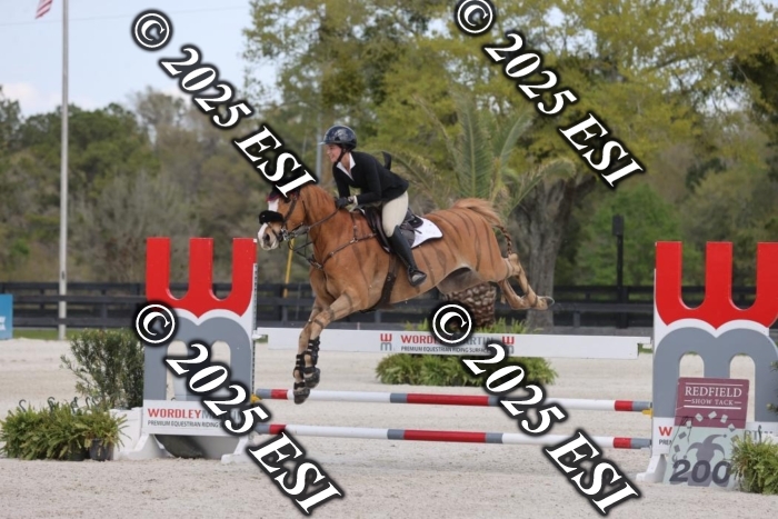 419GAB19333