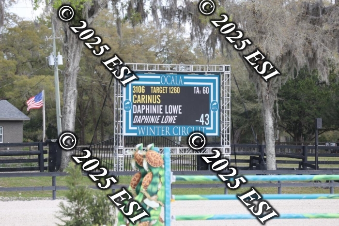 419GAB19368