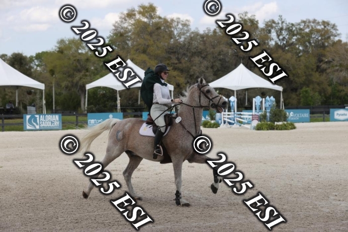 419GAB19379