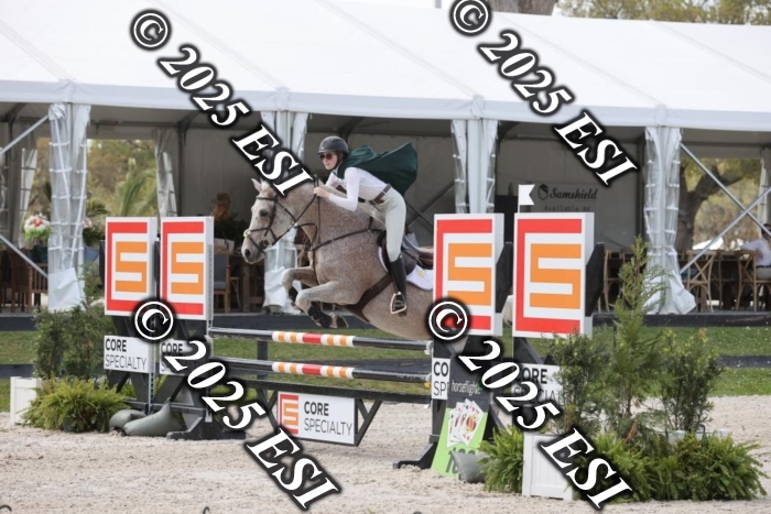 419GAB19387