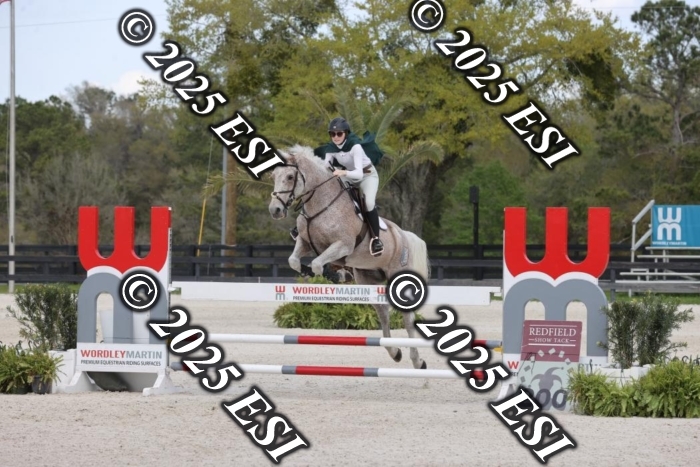 419GAB19392