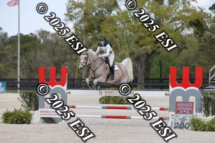 419GAB19394