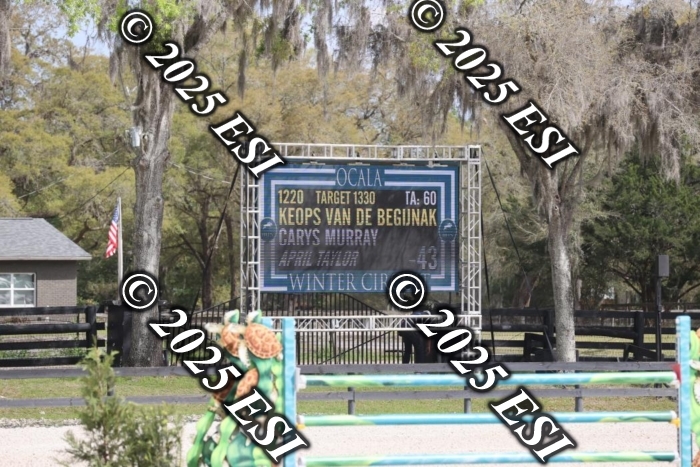 419GAB19455