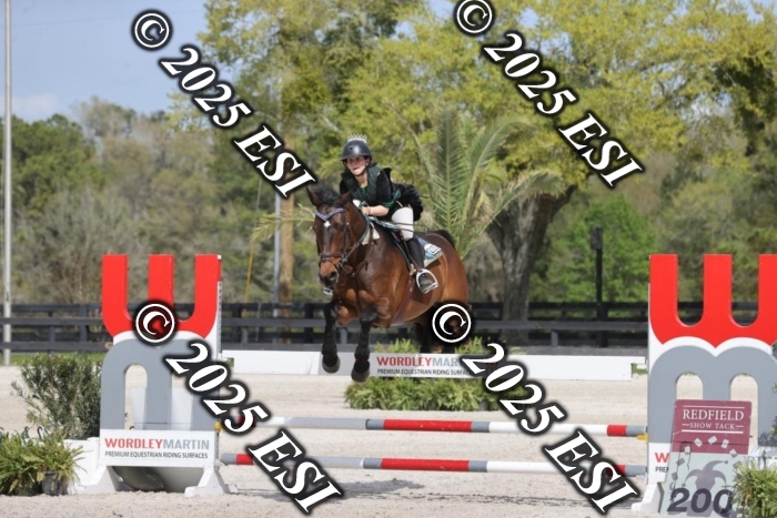 419GAB19497