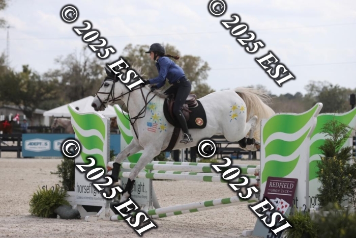 419GAB19513