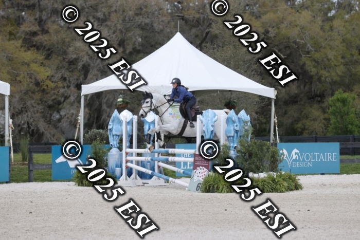 419GAB19519
