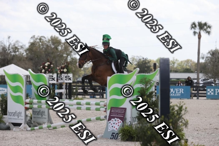 419GAB19533