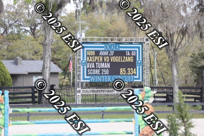 419GAB19565