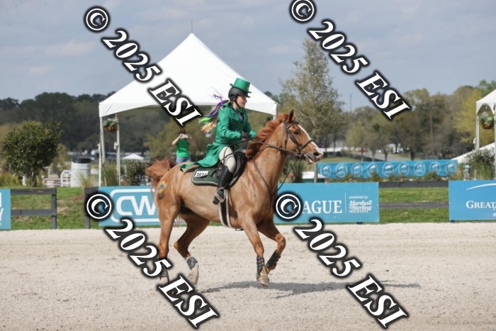 419GAB19577