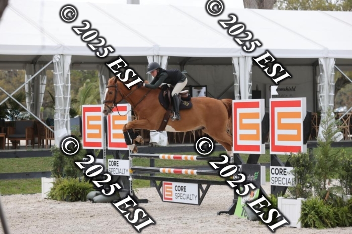 419GAB19615