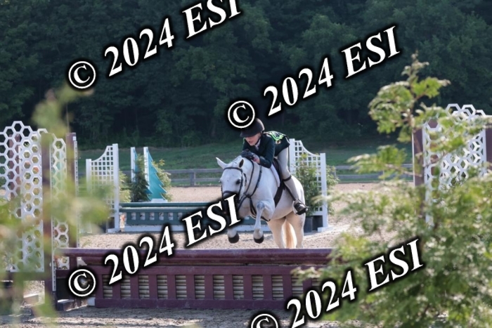 185SC1_7022