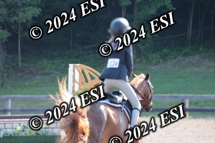 185SC1_7028