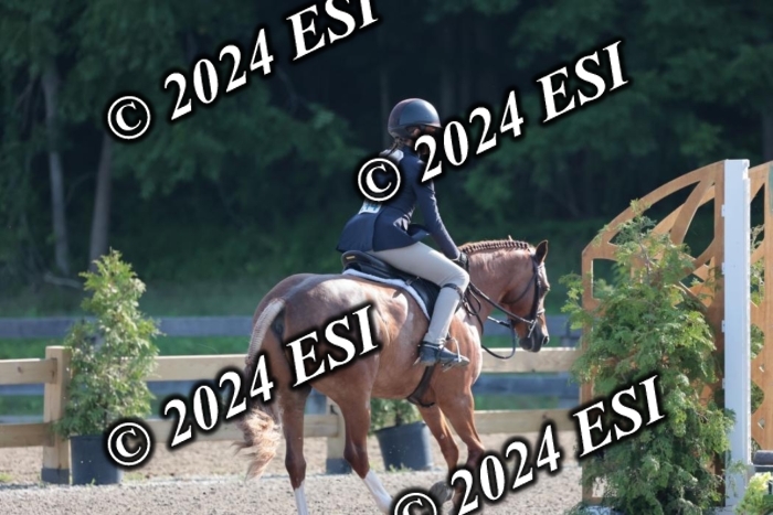 185SC1_7044