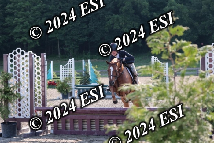 185SC1_7046