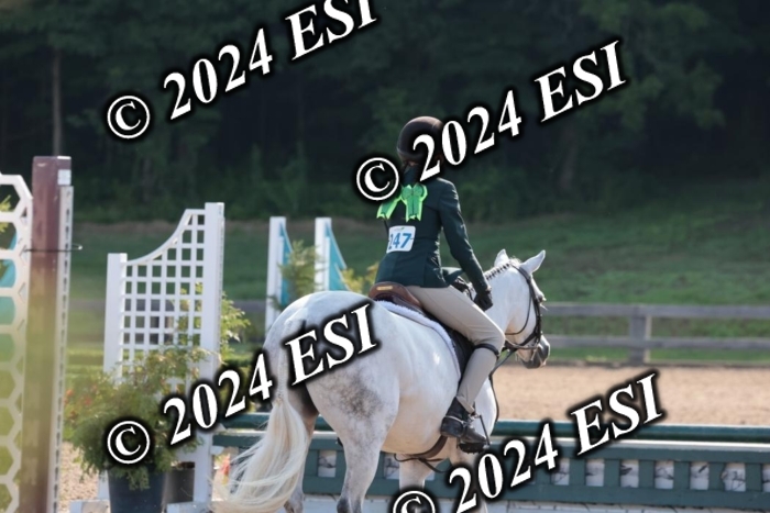 185SC1_7068