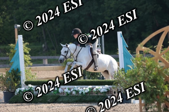 185SC1_7071