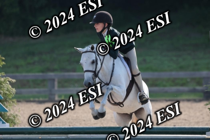 185SC1_7077