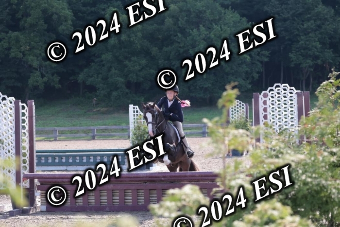 185SC1_7153